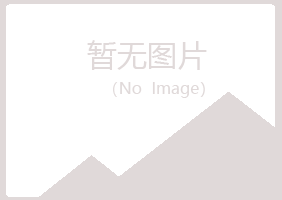 珠海夏岚咨询有限公司